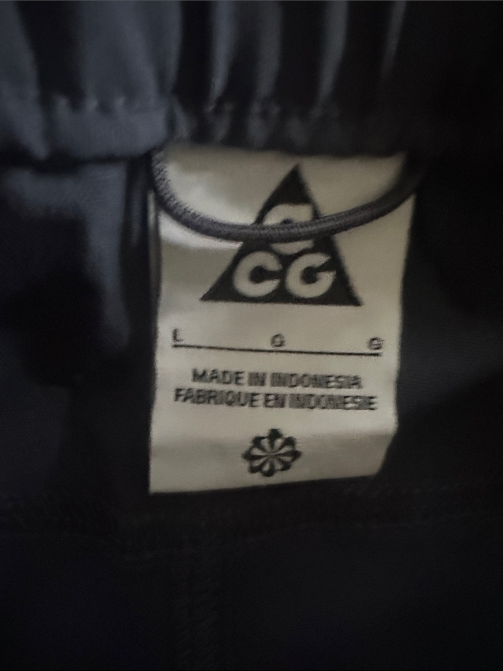 Nike ACG "Smith Summit" cargo pant women's dark grey/ blue colorway Large NWOT - Picture 2 of 8